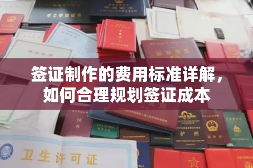 新北签证制作的费用标准详解，如何合理规划签证成本